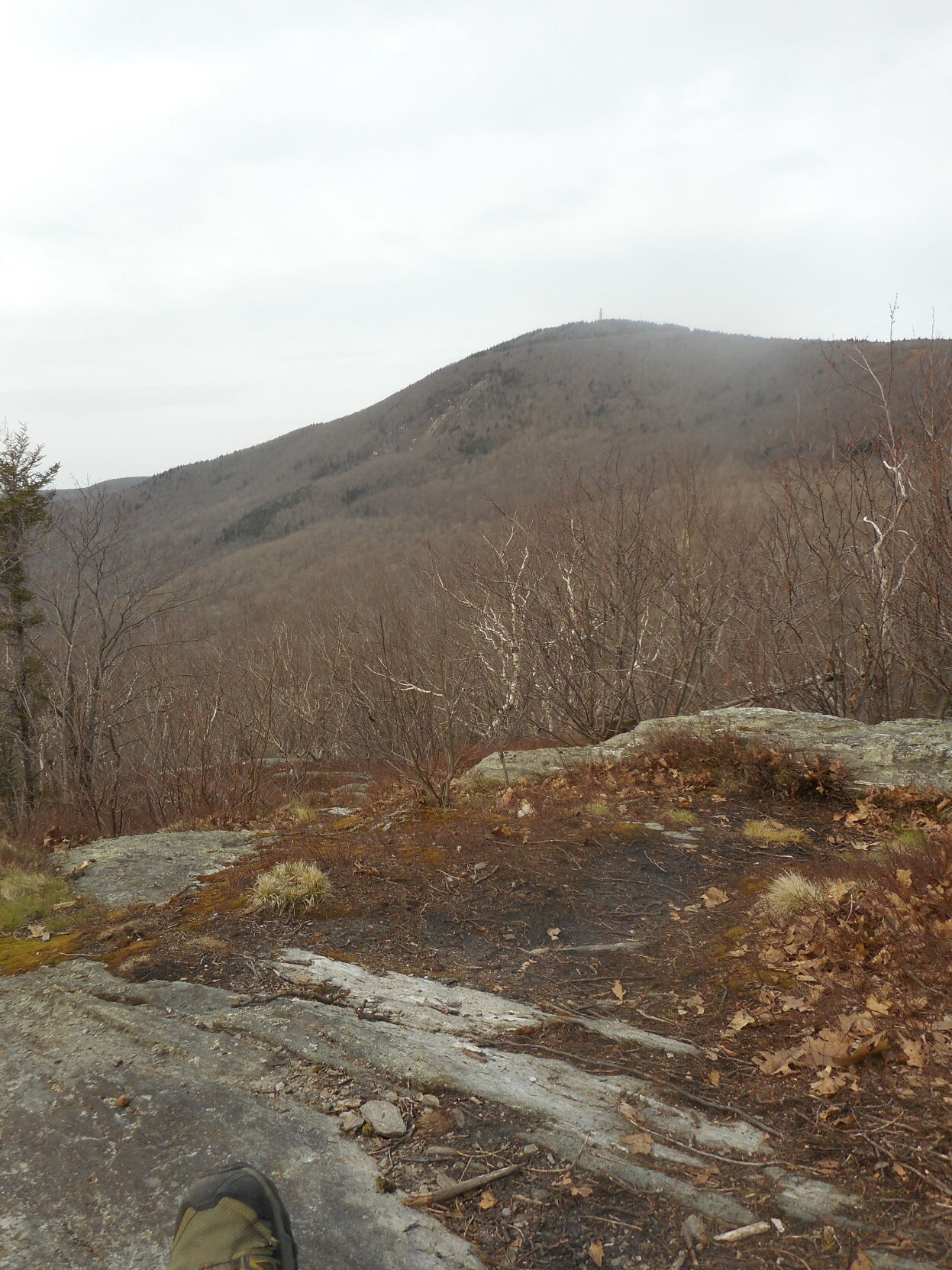 View off ragged mountain